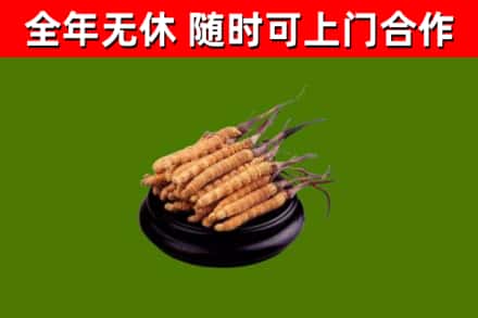 华坪县烟酒回收冬虫夏草.jpg