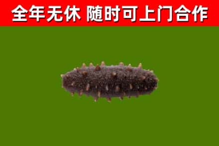 华坪县烟酒回收干海参.jpg